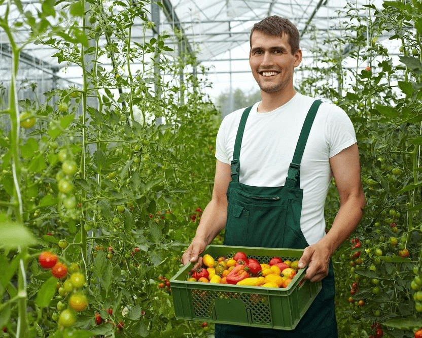 Fruti-mas - frutas, verduras y abarrotes
