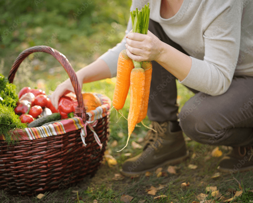 Fruti-mas - frutas, verduras y abarrotes
